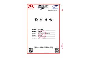 檢測報告